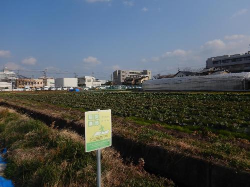 防災農地ほ場