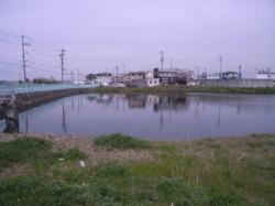 kagoike(wakihama)2