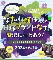 なすの収穫体験の案内チラシ（貝塚着地型観光造成事業  かいづか体験プログラム  なすの収穫体験と貝塚ブランドなすを贅沢に味わおう  「なにわの伝統野菜認定」イベント  2024年6月1日土曜日）