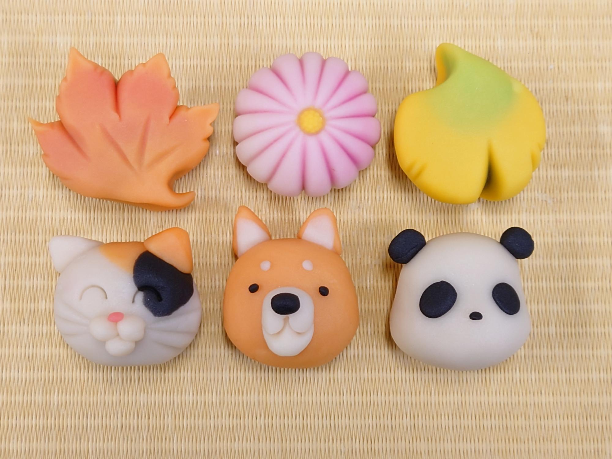 和菓子作り体験で作成できる和菓子の作成例(もみじ、お花、いちょう、猫、犬、パンダ)