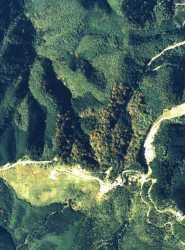 昭和63年に上空から見た山頂部分の写真
