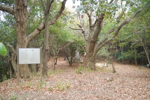 海岸寺の遺構が残されている附近の写真