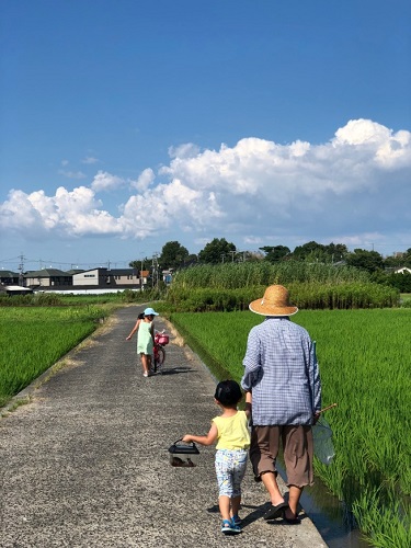 令和3年度かいづか家族の日の写真部門最優秀賞作品です 夏の青空の下 ひいおばあちゃんと虫取りに出かける女の子と男の子を後ろから撮った写真です 田んぼのあぜ道を少し先に女の子が歩いておりその後ろをひいおばあちゃんと手をつないだ男の子が虫かごを持って歩いています