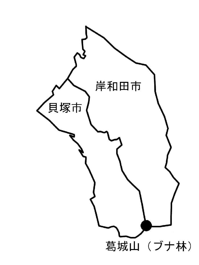 和泉葛城山ブナ林の位置を示す図面