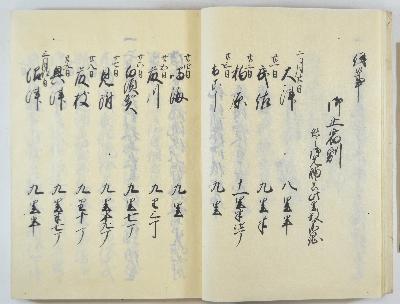 願泉寺に残る江戸参府日記の画像