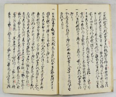 願泉寺に残る「貝塚御座所日記」の写の画像