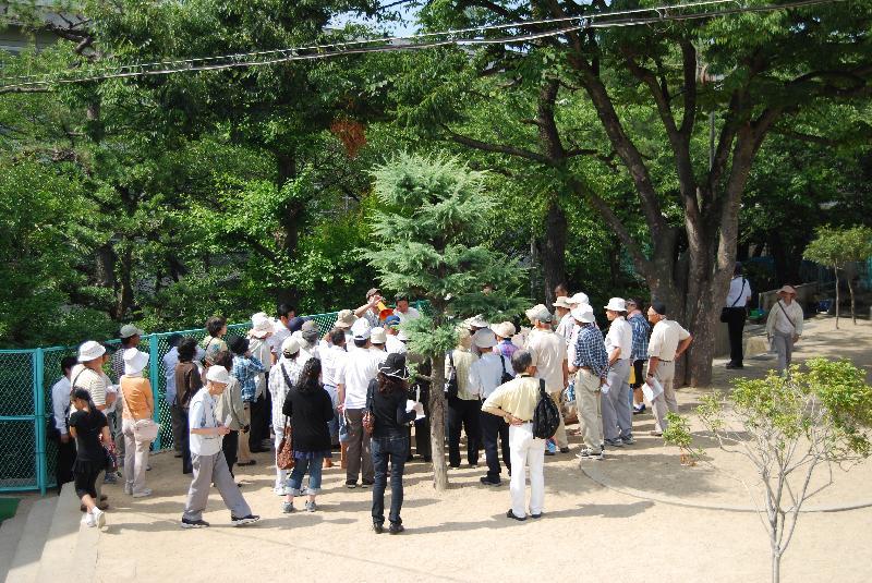 見学会(北小学校にて)の写真