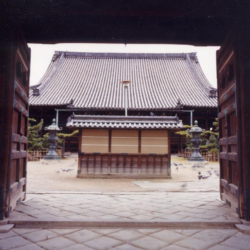 願泉寺表門から見た目隠塀の写真