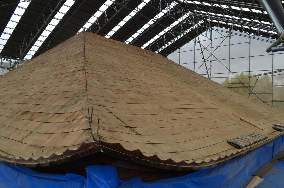 屋根瓦が解体され野地板が姿を見せた孝恩寺観音堂の屋根の写真