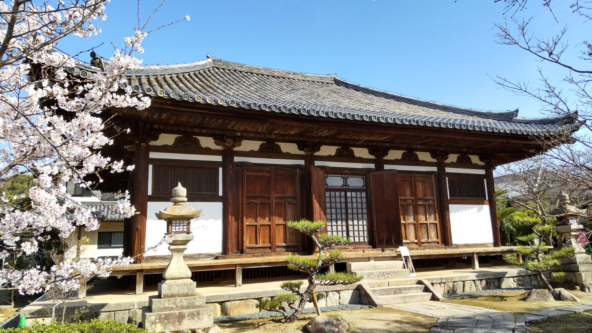 （イメージ）【要事前申込み】孝恩寺 令和8年春季特別拝観