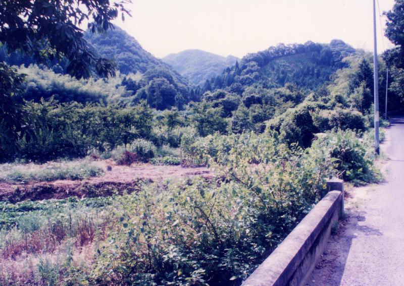 平成8年の旧ダム予定地の写真