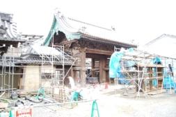 修理中の願泉寺表門と目隠塀の写真