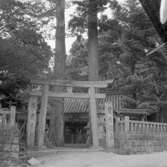 昭和30年ごろの西葛城神社の写真