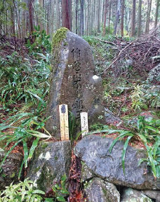 蕎原とちのき谷の写真