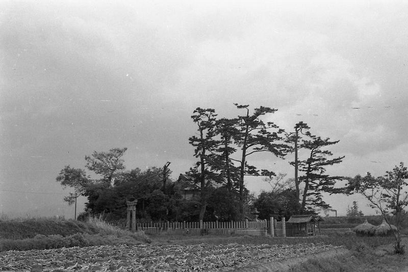 昭和30年ごろの八品神社周辺の風景写真