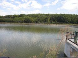 貝塚市麻生中にある新池。農耕地に囲まれた開放的な池です。