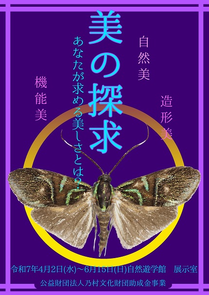 4月から開催するミニ企画展「美の探求」のポスターです。詳細は本文を参照ください。