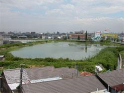 貝塚市堀にある堀ノ大池。広く開放的な池です。