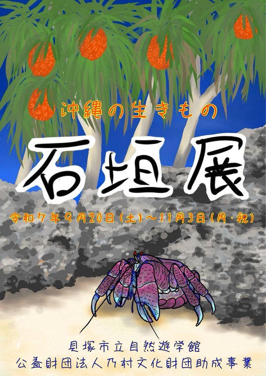 9月20日から11月3日まで、ミニ企画展として「沖縄の生きもの石垣展」を自然遊学館展示室で開催します。そのポスターです