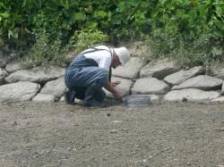 近木川河口につくられた人工再生干潟「通称、汽水ワンド」において、かがみこんで貝類の調査を行っている調査者1人を撮影した画像です。