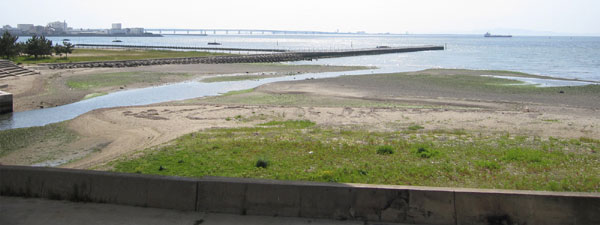 近木川河口の景観（干潮時）