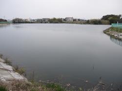 貝塚市王子にある坂本池。林と農耕地に囲まれた広い池です。