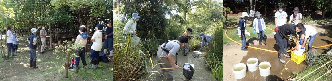 自然遊学館わくわくクラブの方々が、自然生態園の維持管理作業をしているようすです。みんなで今日の作業の予定を話します。この時はトンボの池の水を抜きながら、トンボの池の中に入って生きものを採集したりしました。