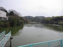 貝塚市三ツ松にある谷田池。西側に堤があり、北西角に貝塚市立善兵衛ランドがあります。それ以外は林に囲まれています。