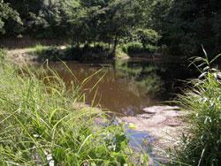 トーロ池を撮影した画像です。南東側が堤で、それ以外は林に囲まれた池です。近くの道路に沿ってフェンスがあり、現在は、近づくことができません。