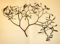 ヤドリギの枝と葉。この画像は、採取した1本の枝が次々に2分岐しながら広がっていく様子を撮影したもので、葉がいくつか付いています。