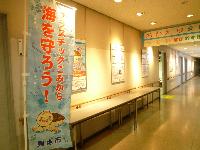 海洋プラスチック啓発パネル展示