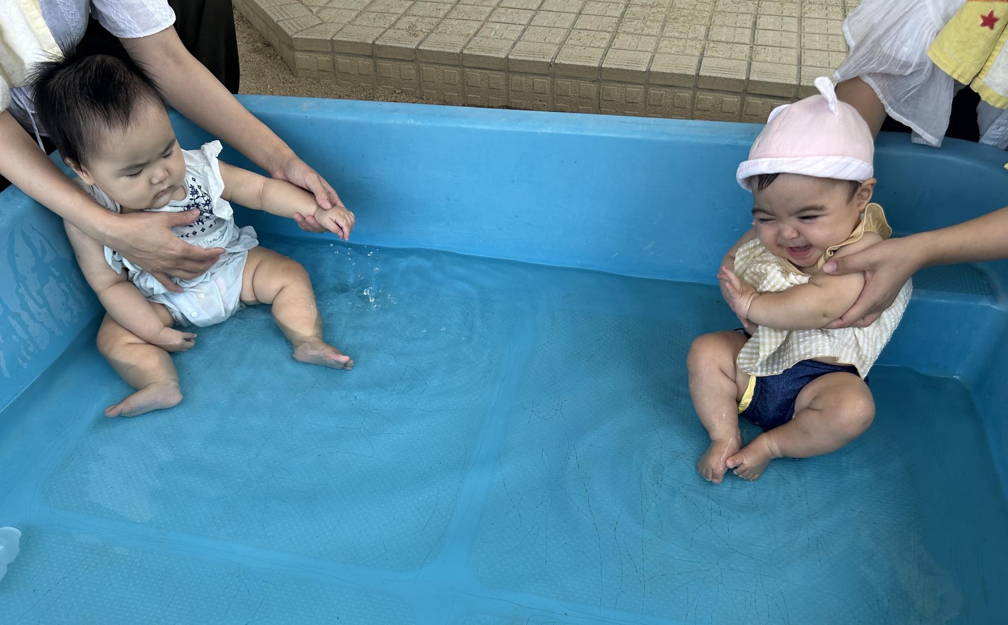 大きいプールに赤ちゃん2人が入ってプールを楽しんでいる様子
