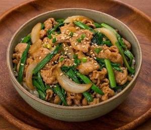 器に盛られたおいしそうな豚丼