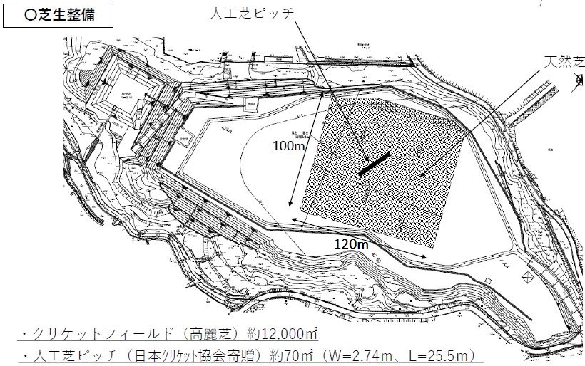 フィールドの芝生の様子