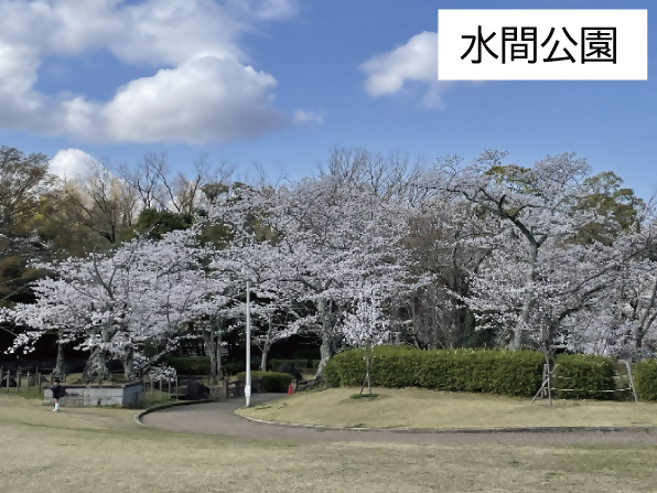 貝塚市水間町にある水間公園の風景(桜がきれいに咲いています)