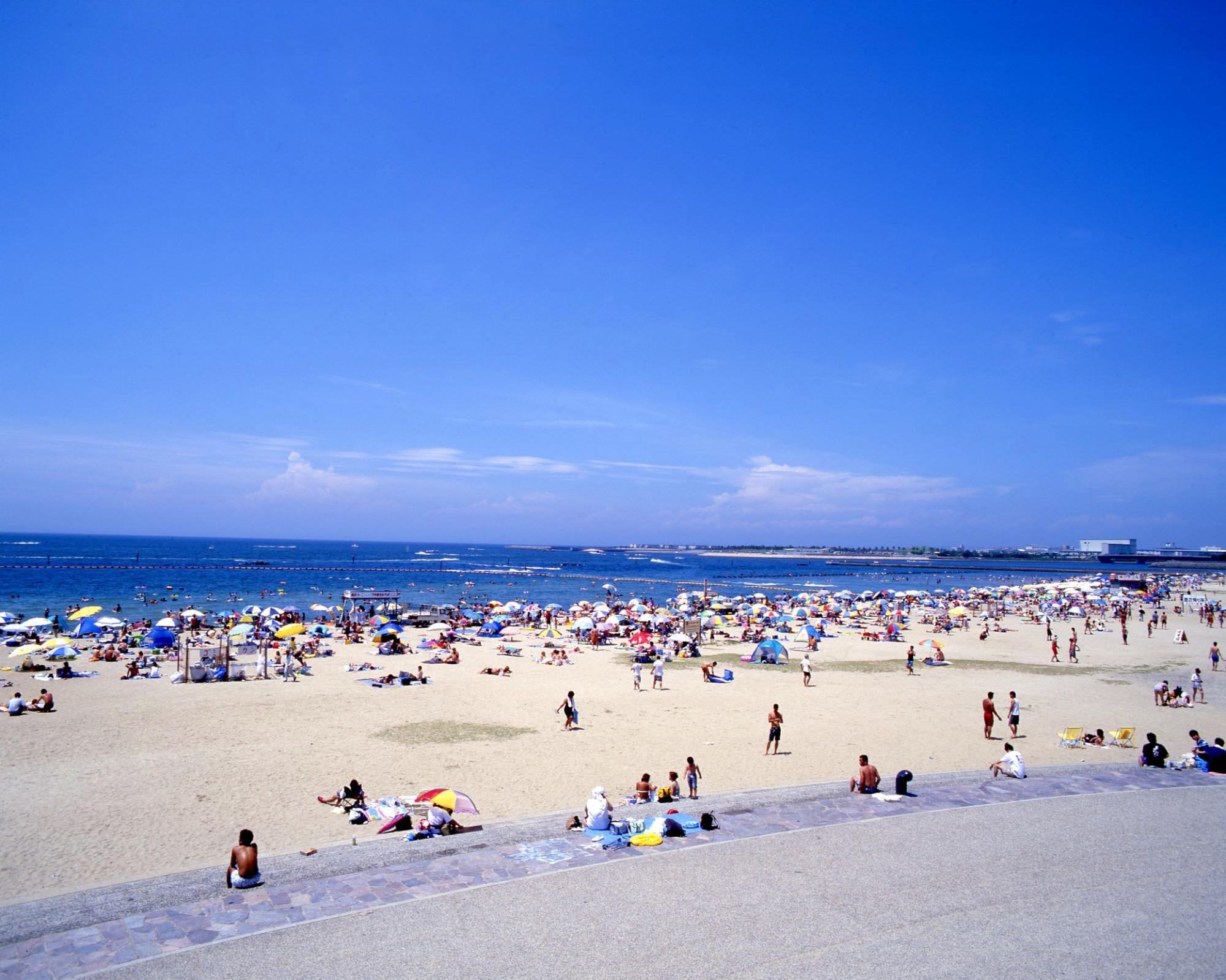 二色の浜公園中央部から海水浴場全体を写した写真。