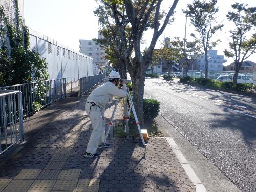 技術職員が現場で勤務している写真です。