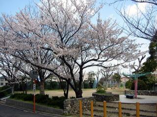 中央団地公園