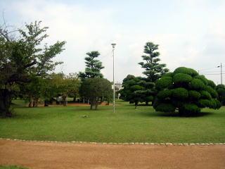 市民庭園「おもいでコットン庭」画像3