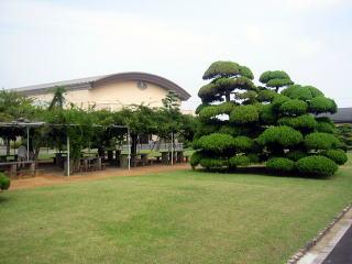 市民庭園「おもいでコットン庭」画像2