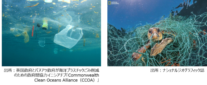 海洋プラスチックごみ対策
